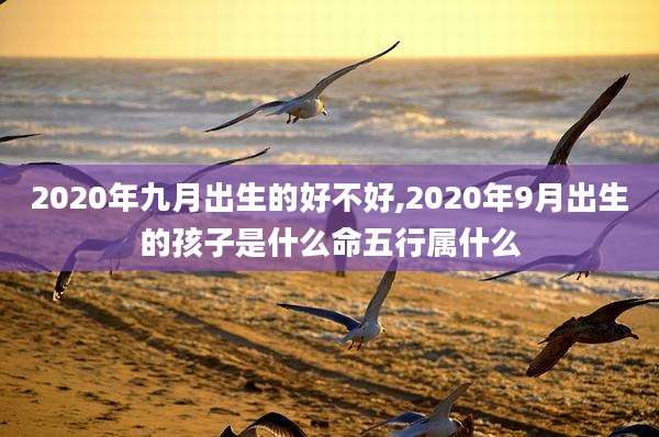 2020年九月出生的好不好,2020年9月出生的孩子是什么命五行属什么