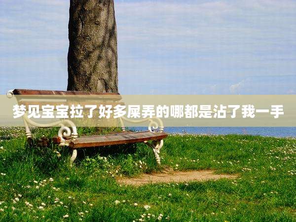 梦见宝宝拉了好多屎弄的哪都是沾了我一手