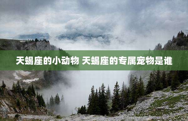 天蝎座的小动物 天蝎座的专属宠物是谁