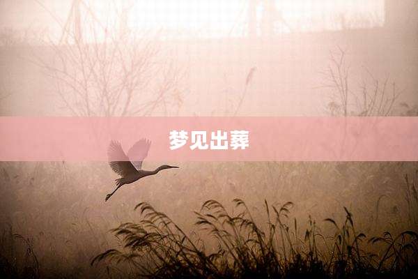 梦见出葬