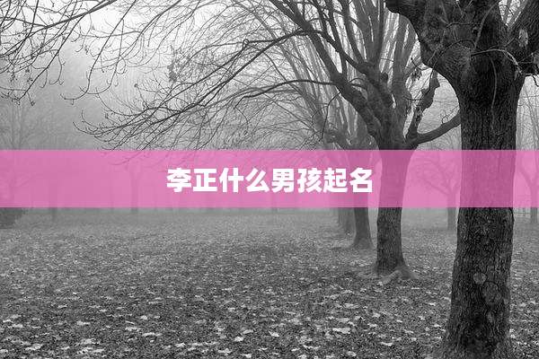 李正什么男孩起名