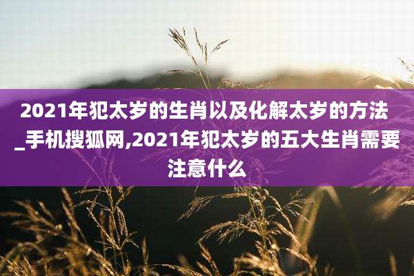 2021年犯太岁的生肖以及化解太岁的方法 _手机搜狐网,2021年犯太岁的五大生肖需要注意什么