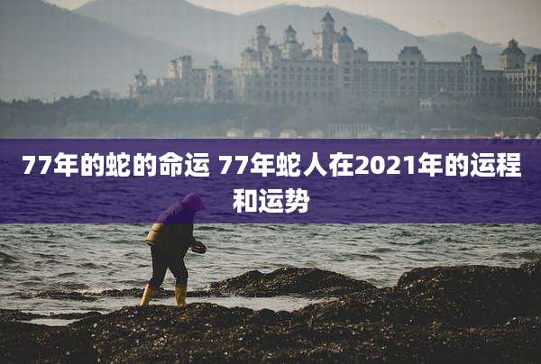 77年的蛇的命运 77年蛇人在2021年的运程和运势