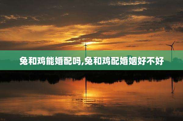 兔和鸡能婚配吗,兔和鸡配婚姻好不好