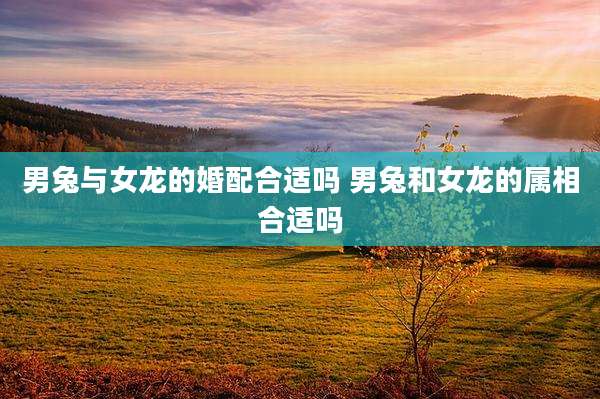 男兔与女龙的婚配合适吗 男兔和女龙的属相合适吗