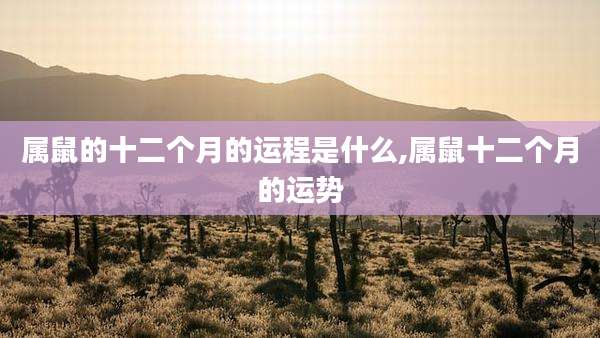 属鼠的十二个月的运程是什么,属鼠十二个月的运势