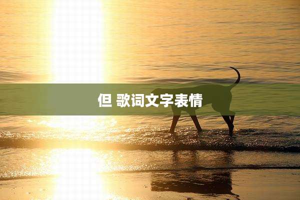 但 歌词文字表情