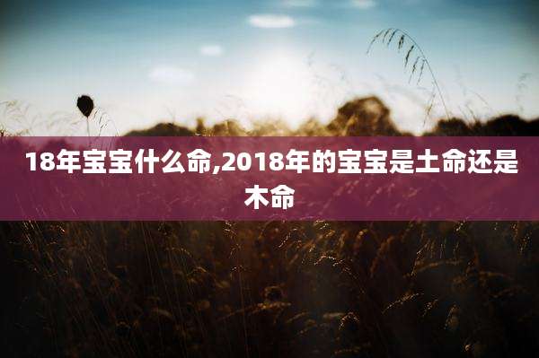 18年宝宝什么命,2018年的宝宝是土命还是木命