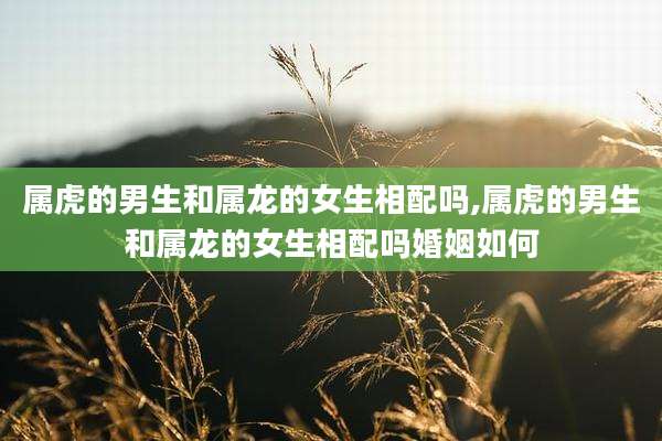 属虎的男生和属龙的女生相配吗,属虎的男生和属龙的女生相配吗婚姻如何
