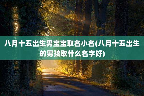 八月十五出生男宝宝取名小名(八月十五出生的男孩取什么名字好)