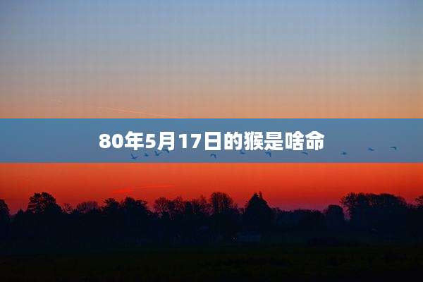 80年5月17日的猴是啥命