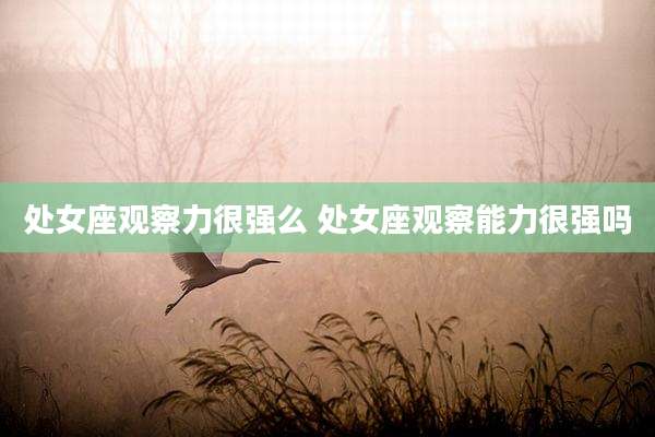 处女座观察力很强么 处女座观察能力很强吗