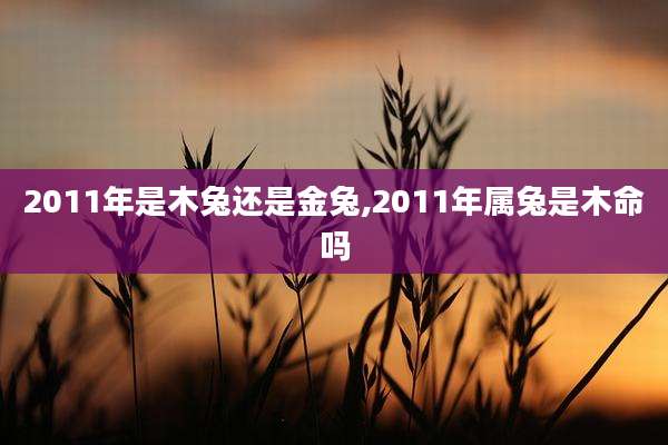 2011年是木兔还是金兔,2011年属兔是木命吗