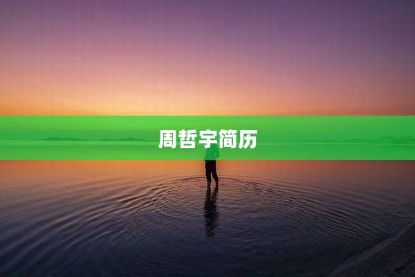 周哲宇简历