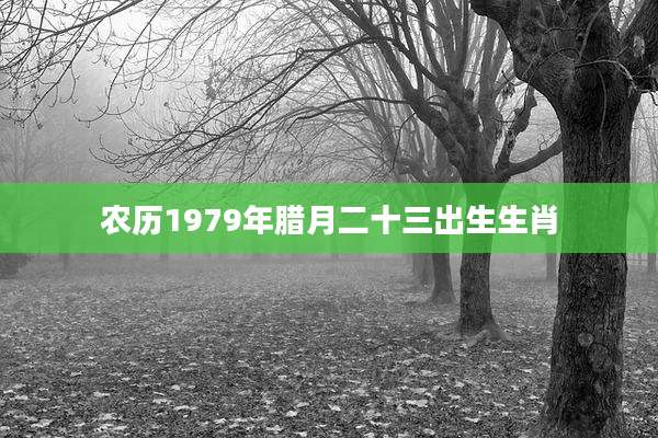 农历1979年腊月二十三出生生肖