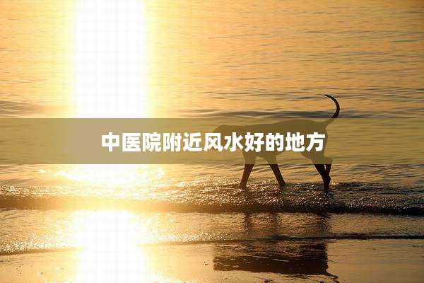 中医院附近风水好的地方