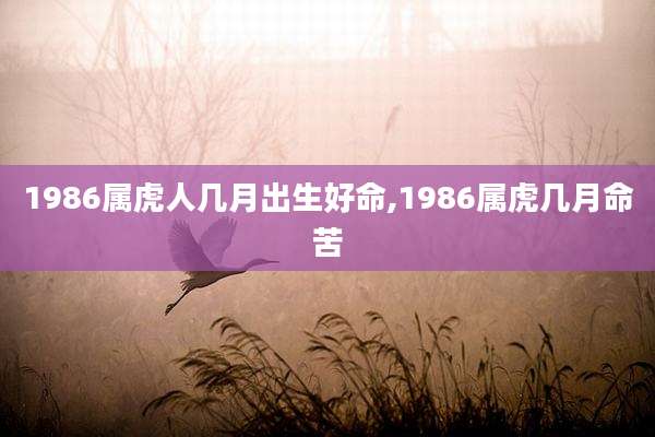 1986属虎人几月出生好命,1986属虎几月命苦