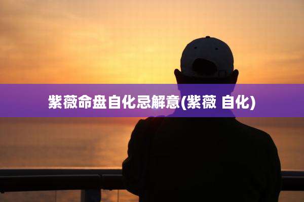 紫薇命盘自化忌解意(紫薇 自化)