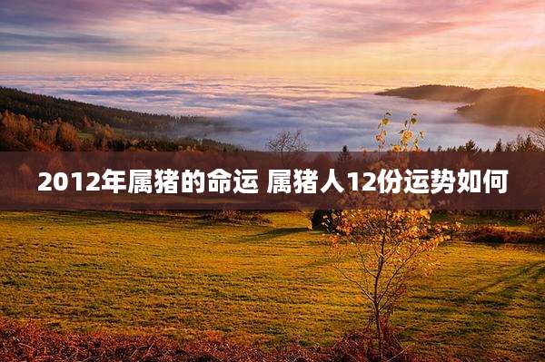 2012年属猪的命运 属猪人12份运势如何