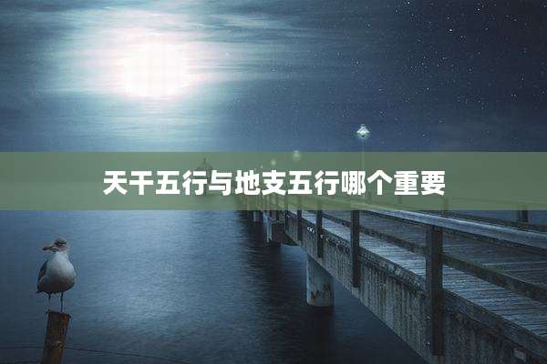 天干五行与地支五行哪个重要