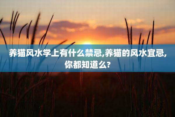 养猫风水学上有什么禁忌,养猫的风水宜忌,你都知道么?