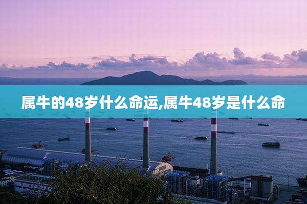 属牛的48岁什么命运,属牛48岁是什么命
