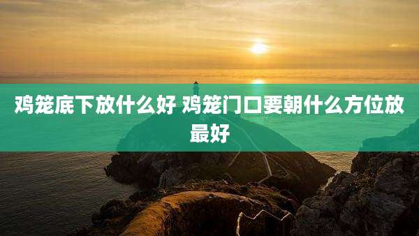 鸡笼底下放什么好 鸡笼门口要朝什么方位放最好