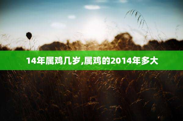14年属鸡几岁,属鸡的2014年多大
