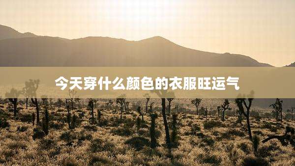 今天穿什么颜色的衣服旺运气