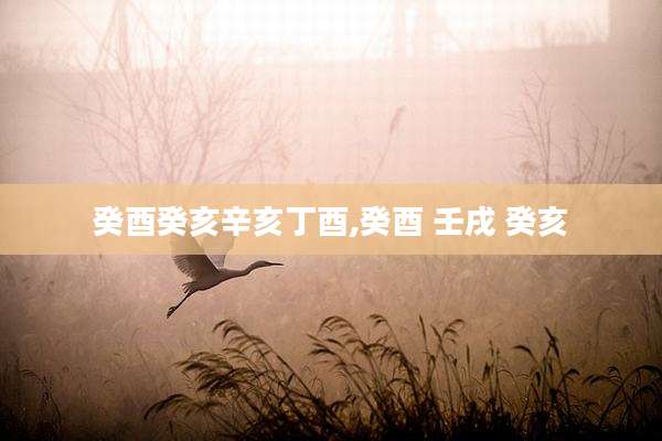 癸酉癸亥辛亥丁酉,癸酉 壬戌 癸亥
