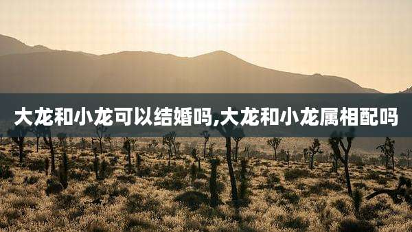 大龙和小龙可以结婚吗,大龙和小龙属相配吗