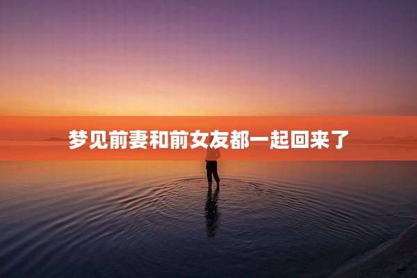 梦见前妻和前女友都一起回来了