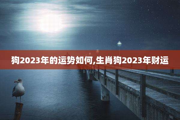 狗2023年的运势如何,生肖狗2023年财运