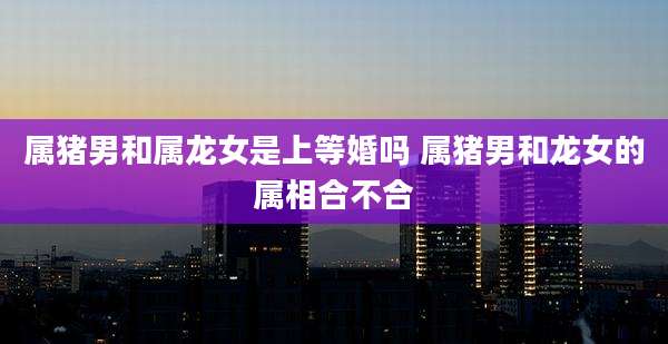 属猪男和属龙女是上等婚吗 属猪男和龙女的属相合不合