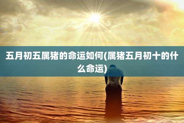 五月初五属猪的命运如何(属猪五月初十的什么命运)