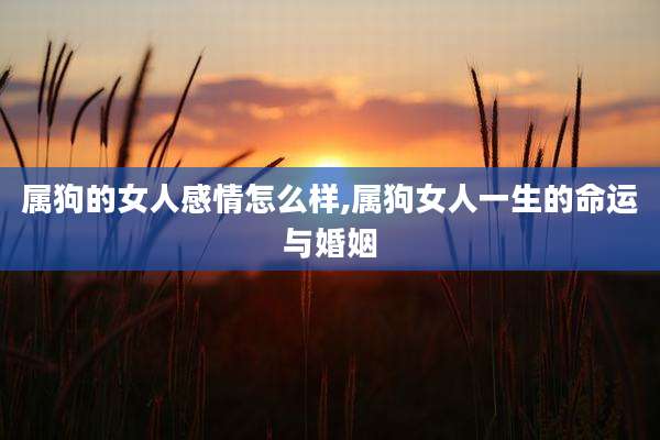属狗的女人感情怎么样,属狗女人一生的命运与婚姻