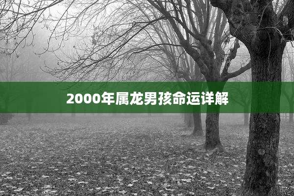 2000年属龙男孩命运详解