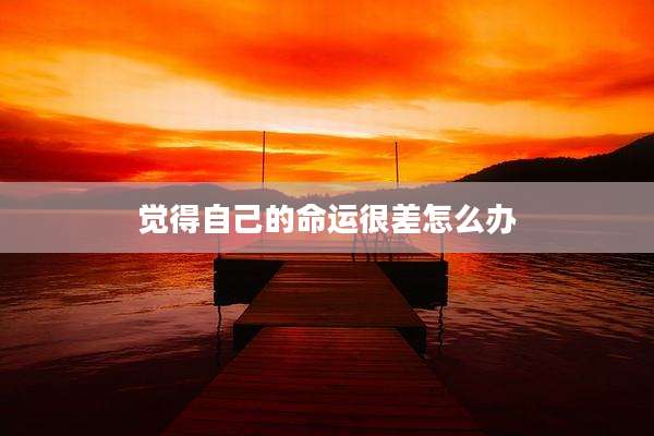 觉得自己的命运很差怎么办
