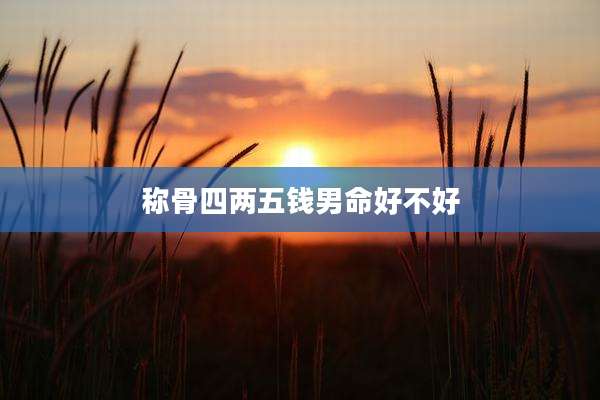 称骨四两五钱男命好不好