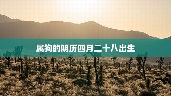 属狗的阴历四月二十八出生