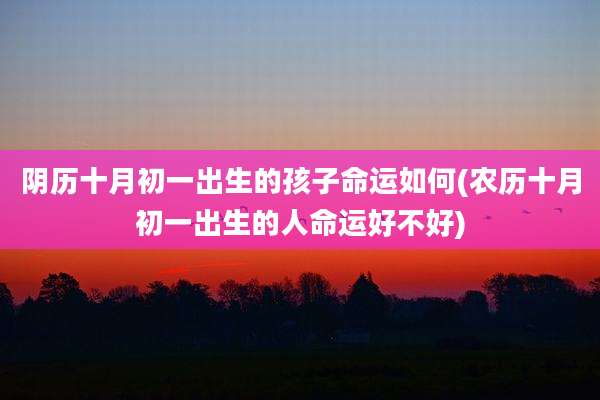 阴历十月初一出生的孩子命运如何(农历十月初一出生的人命运好不好)