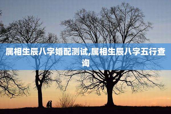 属相生辰八字婚配测试,属相生辰八字五行查询