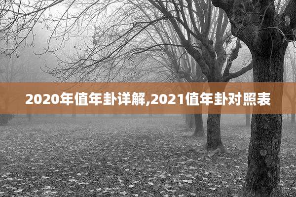 2020年值年卦详解,2021值年卦对照表