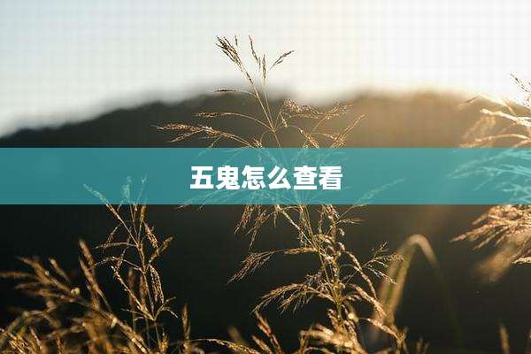 五鬼怎么查看