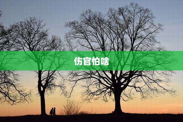 伤官怕啥