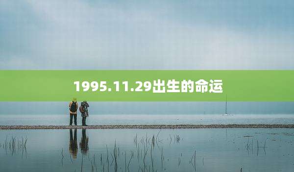1995.11.29出生的命运