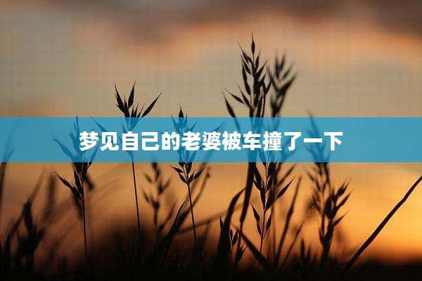 梦见自己的老婆被车撞了一下