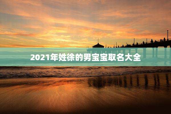 2021年姓徐的男宝宝取名大全