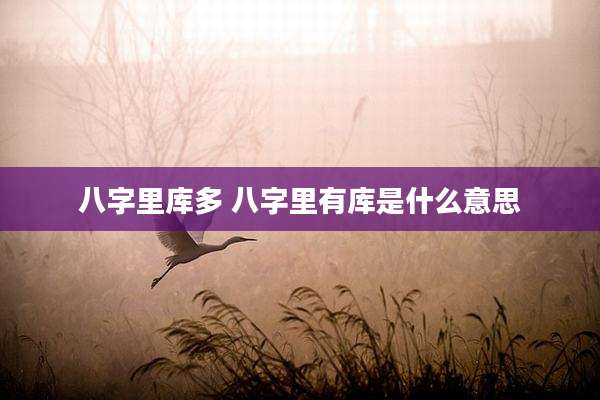 八字里库多 八字里有库是什么意思