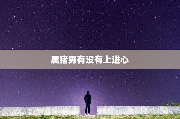 属猪男有没有上进心